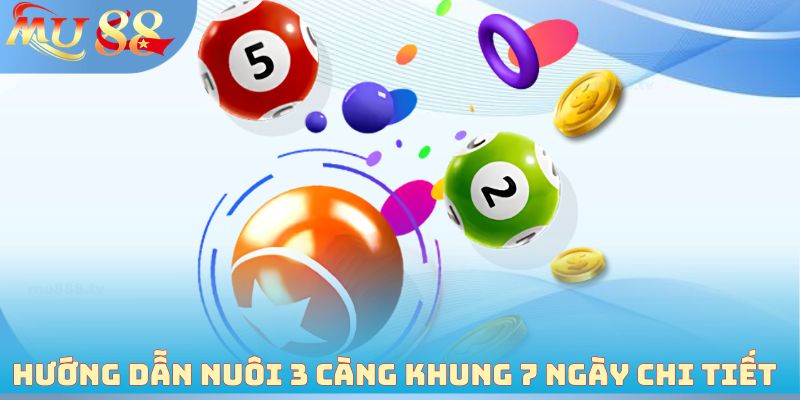 Hướng dẫn nuôi 3 càng khung 7 ngày chi tiết 