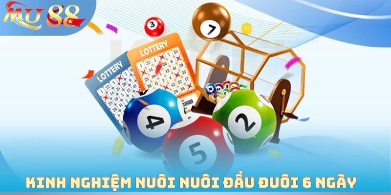 Kinh nghiệm nuôi nuôi đầu đuôi 6 ngày