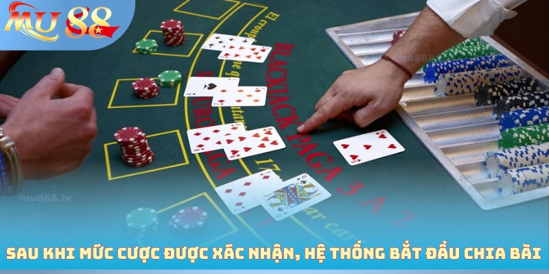 Sau khi mức cược được xác nhận, hệ thống bắt đầu chia bài
