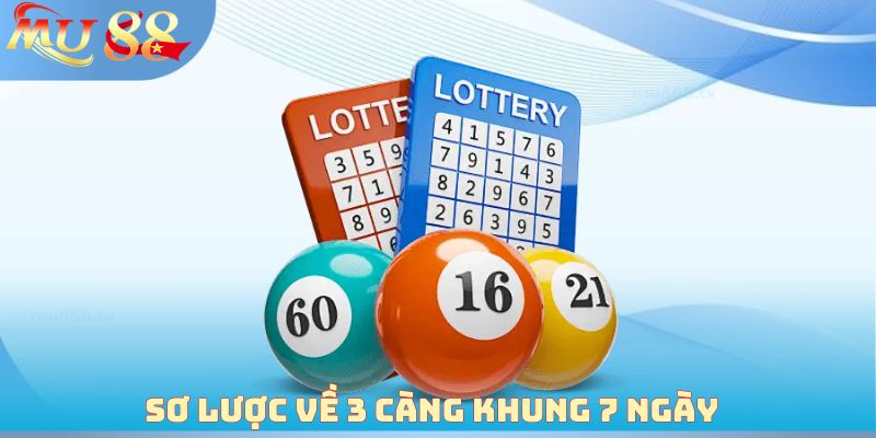 Sơ lược về 3 càng khung 7 ngày 